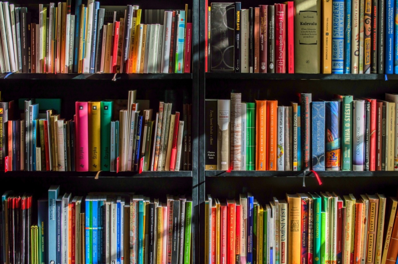ecommerce-GRASSE-min_books_bookstore_book_reading_shop_writer_sale_books_read-822866